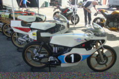 Varano_dei_Melegari_2014-004